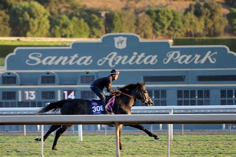 Breeders' Cup 2023 Results: Tracking Winners and Prize Money Payout.